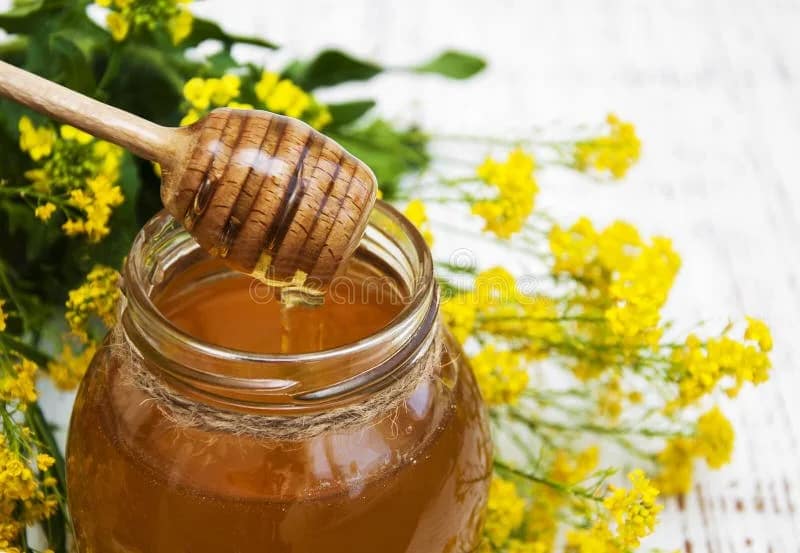 https://shp.aradbranding.com/قیمت خرید عسل چند گیاه طبیعی  با فروش عمده